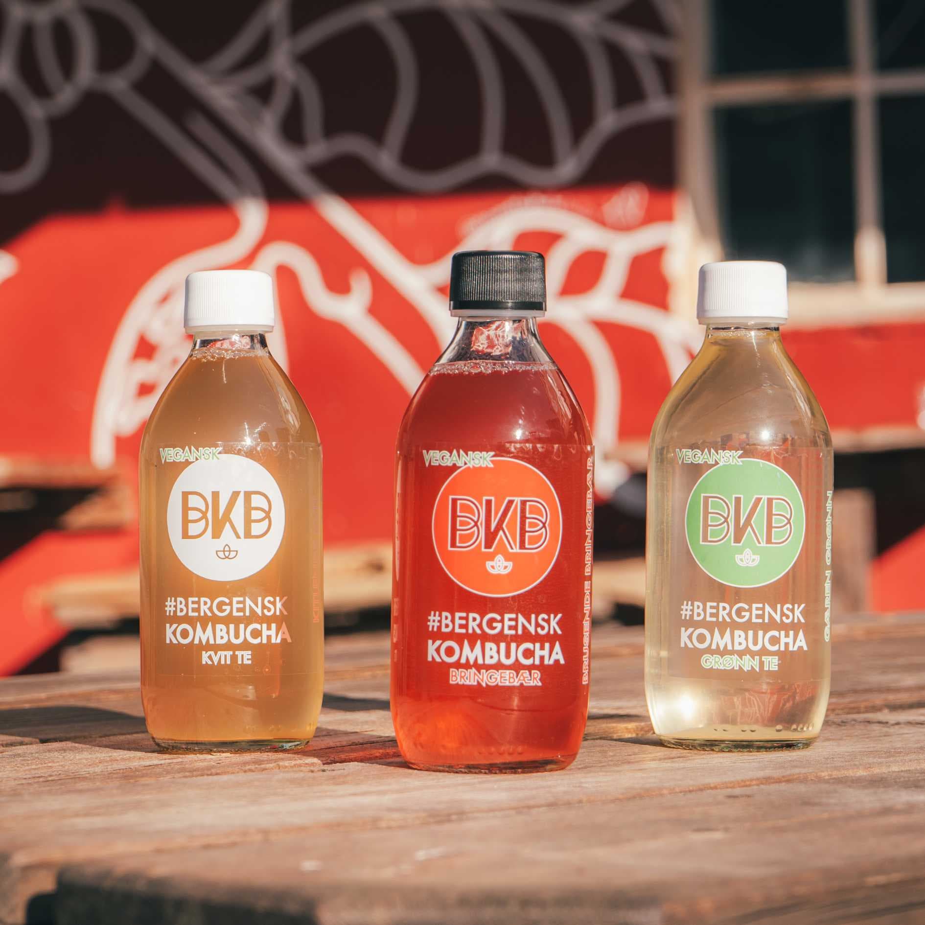Kombucha (0,33L) — 12-pakke